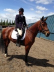 Withney, 15.2hh, bay mare